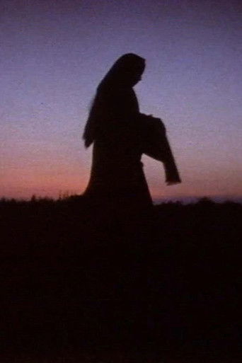 Poster for Women in the Shadows
