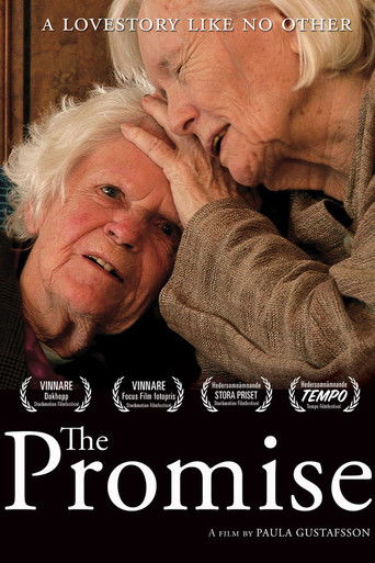 Poster for The Promise