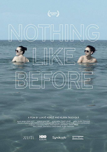 Poster for Nothing Like Before