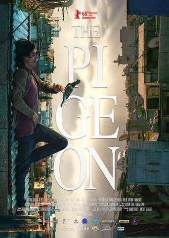 Poster for The Pigeon
