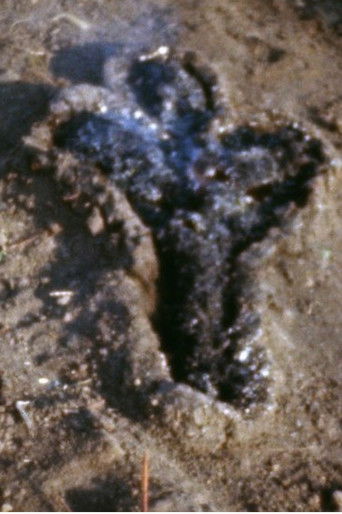 Poster for Untitled: Silueta Series (Gunpowder Works)