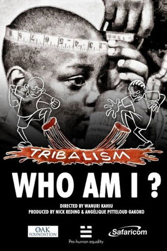 Poster for Who Am I?