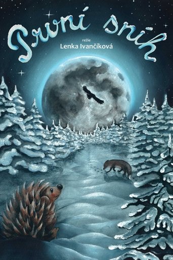 Poster for První sníh