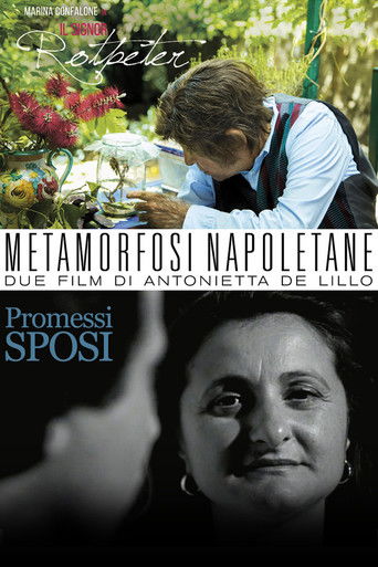 Poster for Metamorfosi Napoletane