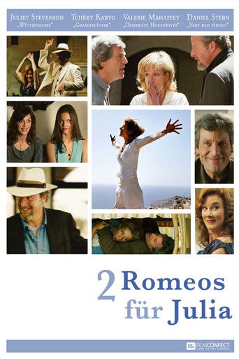 Poster for A Previous Engagement