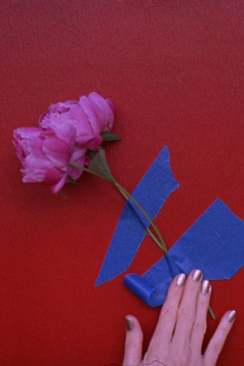 Poster for 3 peonies