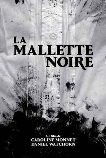 Poster for The Black Case