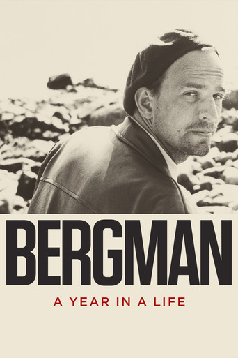 Poster for Bergman: A Year in a Life