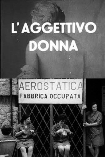 Poster for The Adjective Woman