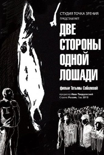 Poster for Two Sides of One Horse
