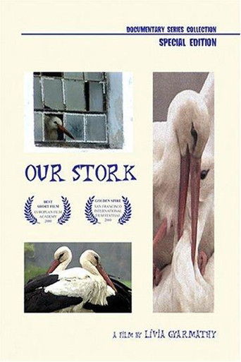 Poster for Our Stork
