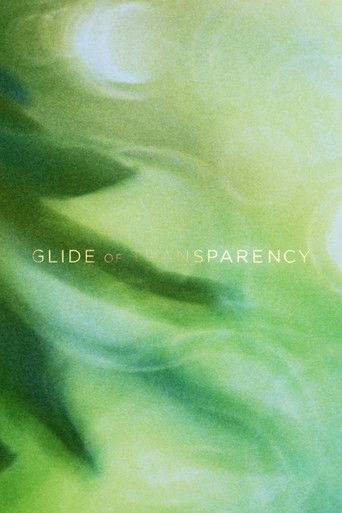 Poster for Glide of Transparency