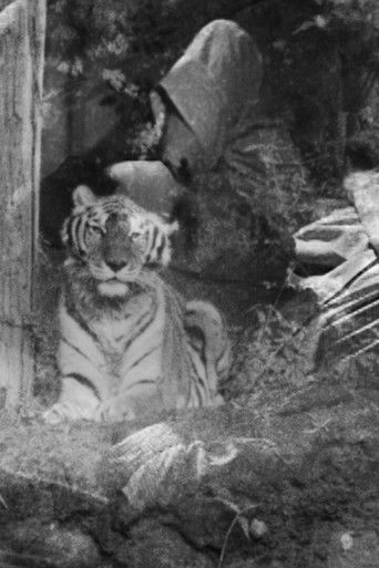 Poster for The Horrible Thirty: Me, My Father and Richard the Tiger