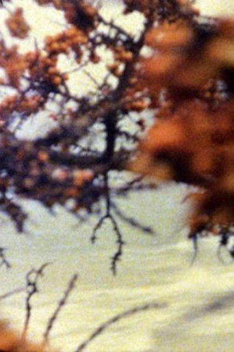 Poster for At the Sea