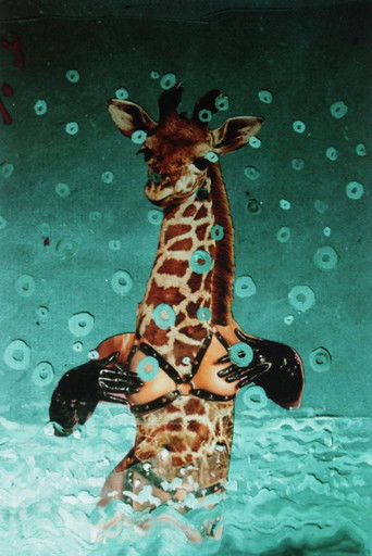 Poster for There's a Pervert in Our Pool!