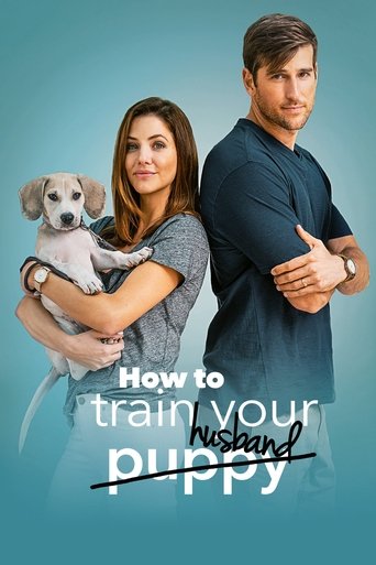 Poster for How to Train Your Husband