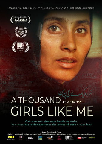 Poster for A Thousand Girls Like Me