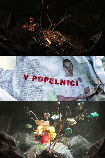 Poster for In a Dumpster