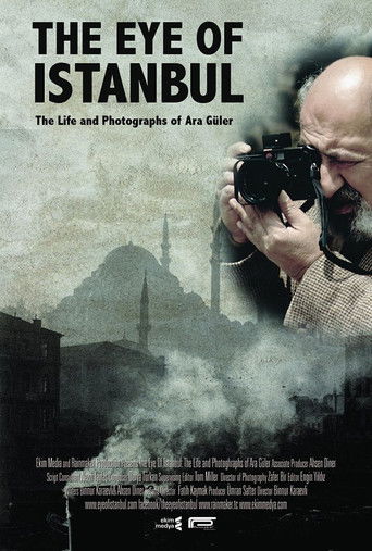 Poster for The Eye of Istanbul