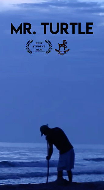 Poster for Mr. Turtle