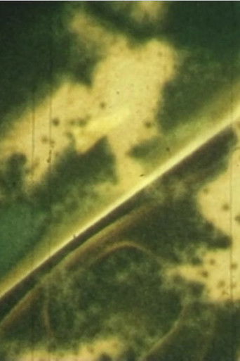 Poster for verde vermelhar