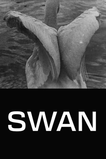 Poster for Swan