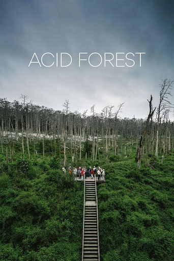 Poster for Acid Forest