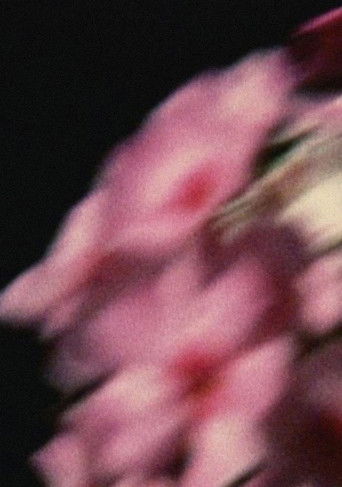 Poster for Five Year Diary, Reel 80: Emily Died (May 14–September 26, 1994)