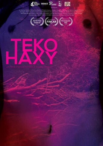 Poster for Teko Haxy - ser imperfeita