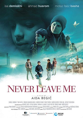 Poster for Never Leave Me