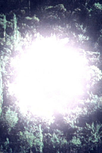 Poster for Inaudible footsteps