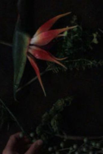 Poster for still life composition 'an accompaniment for life'