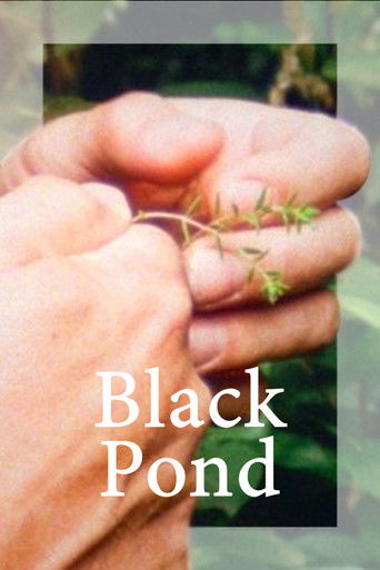 Poster for Black Pond
