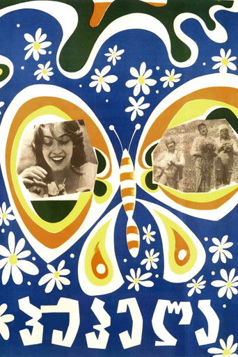 Poster for Butterfly