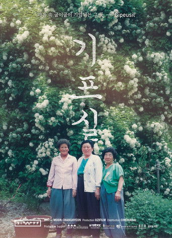 Poster for Gipeusil