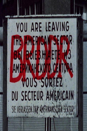 Poster for BRDDR