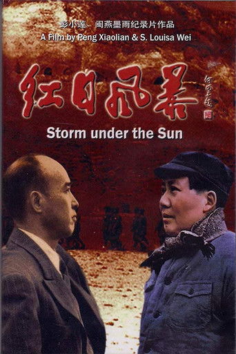 Poster for Storm Under the Sun