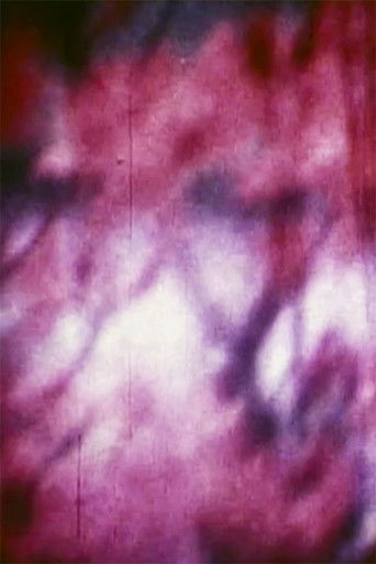 Poster for I Can Almost See It