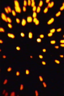 Poster for Celebrated Royal Fireworks
