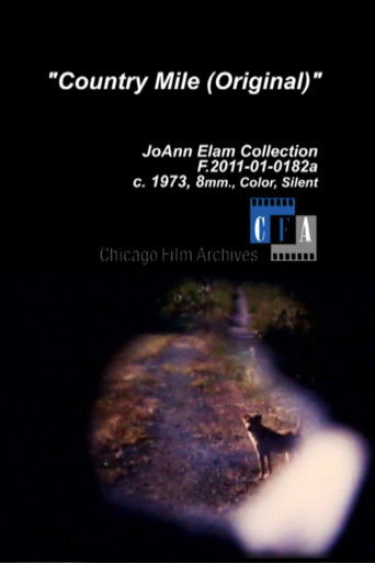 Poster for Country Mile