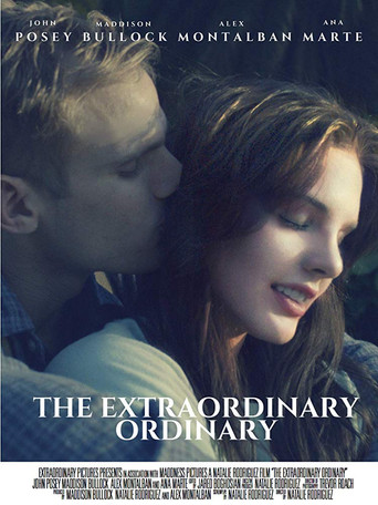 Poster for The Extraordinary Ordinary