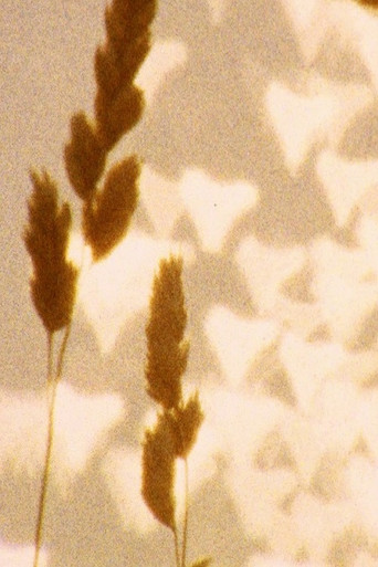 Poster for untitled (august)