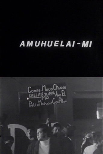 Poster for Amuhuelai-mi