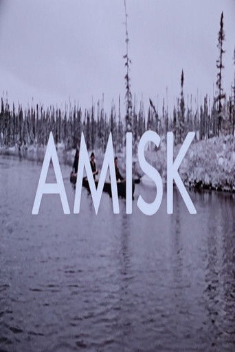 Poster for Amisk