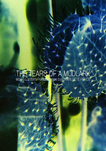 Poster for The Tears of a Mudlark