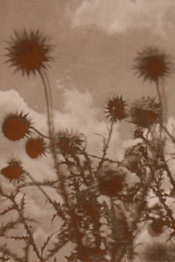 Poster for Crashing Skies