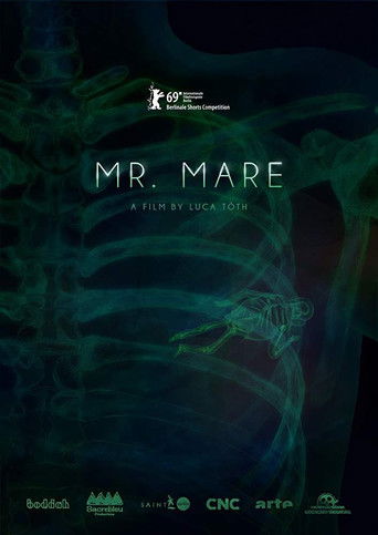 Poster for Mr. Mare