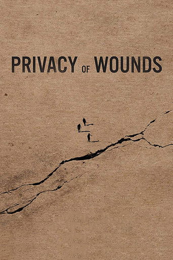 Poster for Privacy of Wounds