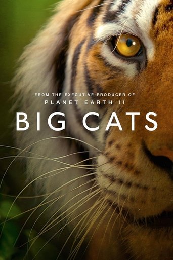 Poster for Big Cats