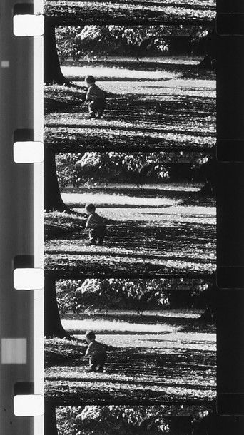 Poster for Envío 3